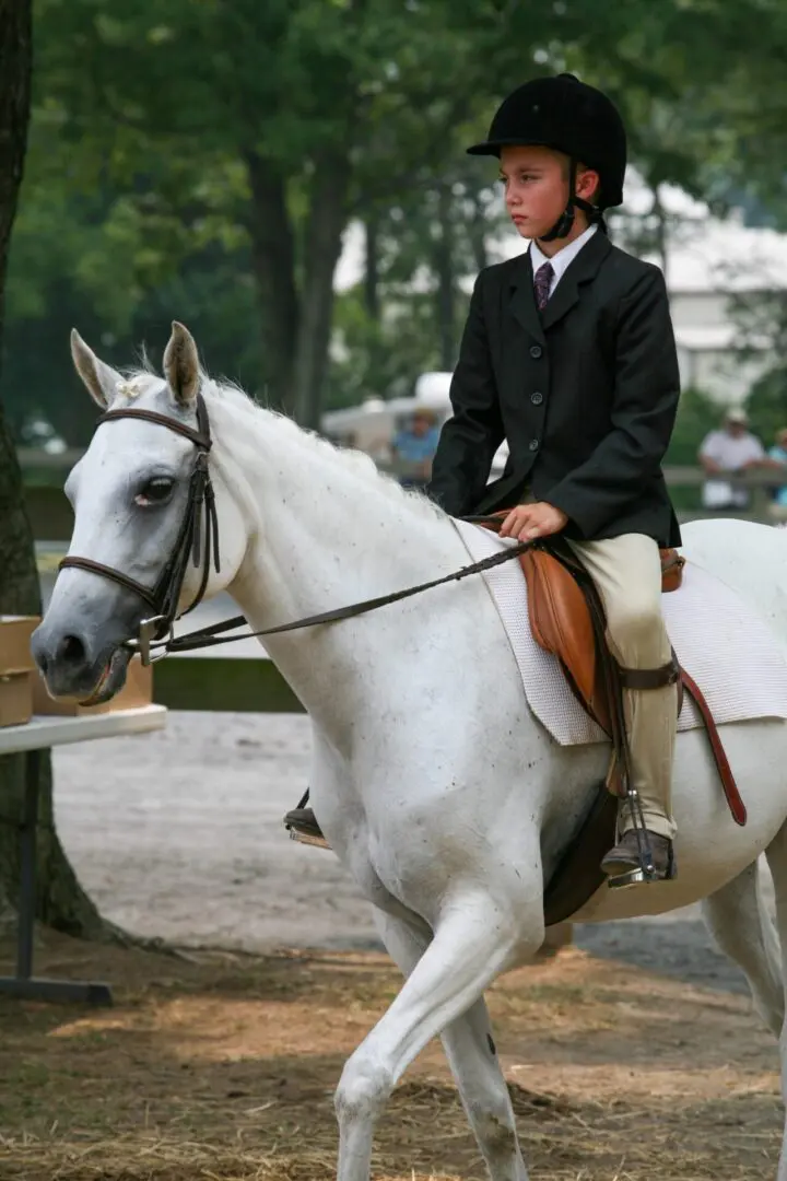A boy wearing black riding a white horse